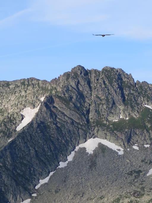 "Le Desman" Confortable T2 A La Montagne Face Aux Thermes Rando, Cure Олюс-ле-Бан Екстериор снимка