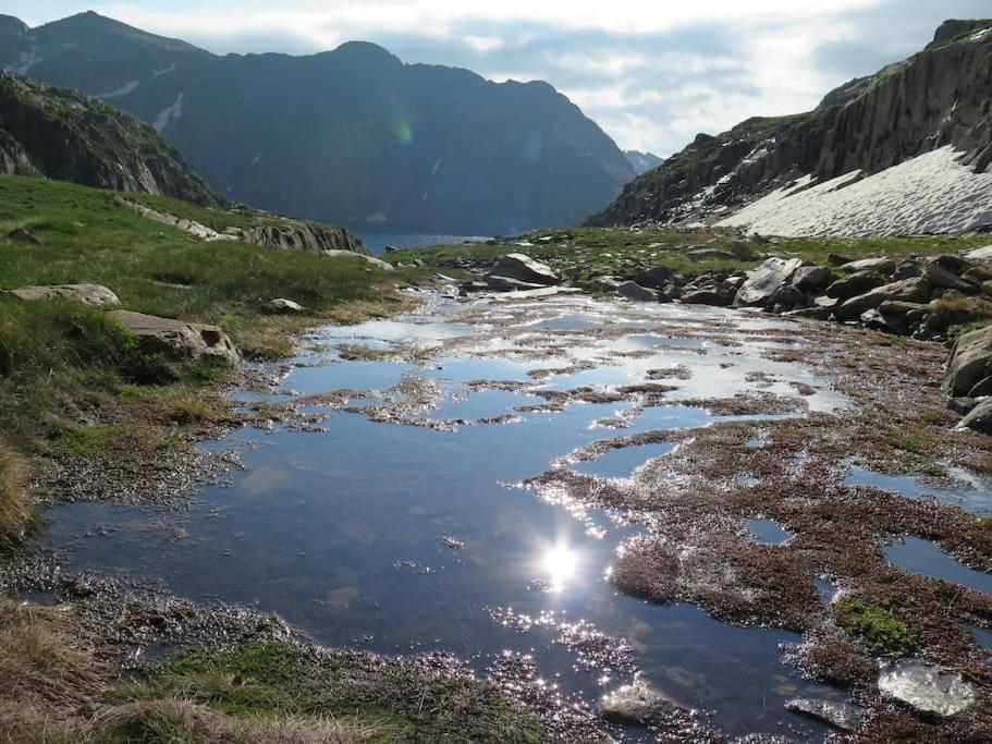"Le Desman" Confortable T2 A La Montagne Face Aux Thermes Rando, Cure Олюс-ле-Бан Екстериор снимка
